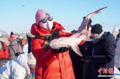 2025黑龙江“冷水鱼·冬捕季”系列活动启幕