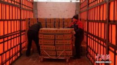 全产业链闭环 同江“绿油豆”快速运抵俄罗斯